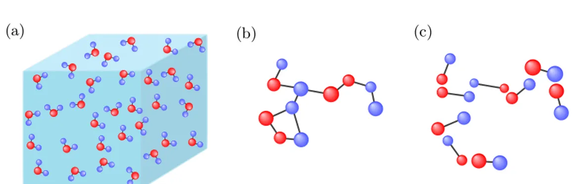 Figure 3.11: Dipole systems. (a) Water model with charged atoms. (b) A big neu- neu-tral molecule, with each atom charged