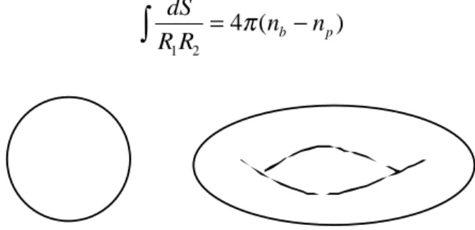 Figure I-5 : Une Sphère et un Tore sont deux surfaces de différentes topologies.