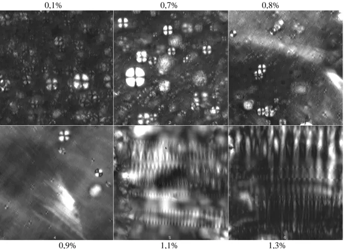 Figure I-10 : Phases oignon et lamellaire de 7% AOT et différentes salinités (de