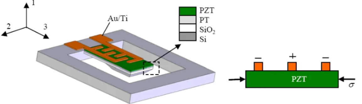 Figure 1.6: Schéma du micro-accéléromètre proposé utilisant le                         mode 33  à effet piézoélectrique [7]