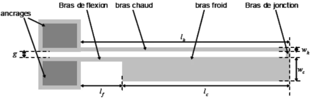 Figure 1.19 : Vue de dessus schématique de l’actionneur                          électrothermique en forme de U [13]
