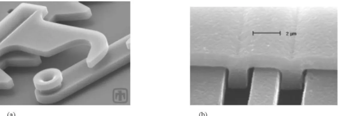 Figure 2.4 : Photos MEB de structures micro-usinées en surface.(a) avec planarisation,   (b)  sans planarisation [18, 6]