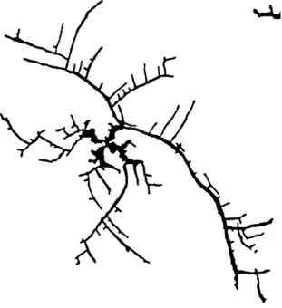 Fig. 3.3: Transition entre un régime de doigts visqueux non-newtoniens (milieu du motif) vers