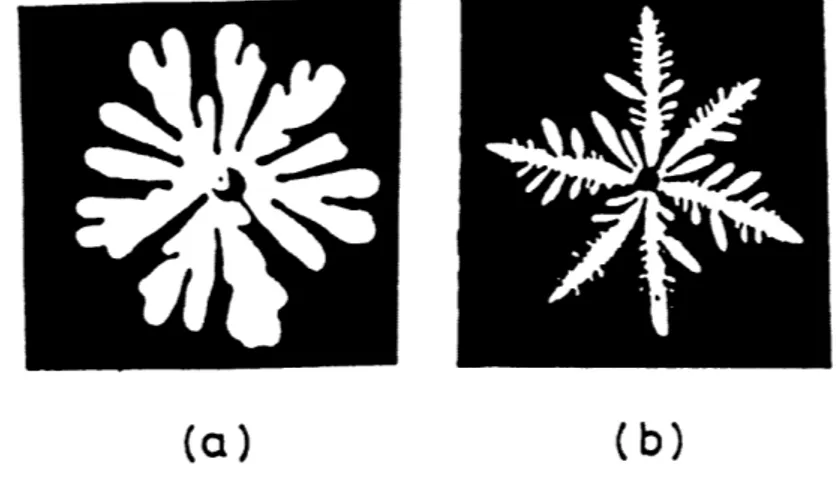 Fig. 3.6: Observations en cellule radiale dans le cristal liquide 8CB poussé par de l'air d'après