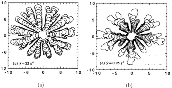 Fig. 3.7: Motifs observés lors d'une expérience de digitation visqueuse dans une mousse à