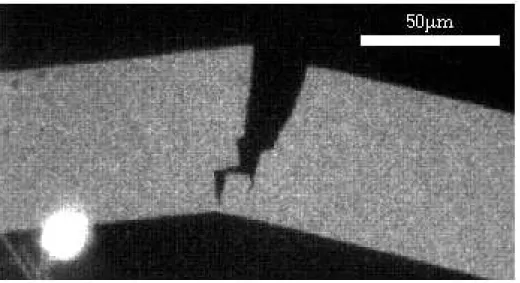 Fig. III.2:  Fracture d'un cristal. Le point lumineux à gauche correspond à un point d'application de la force.