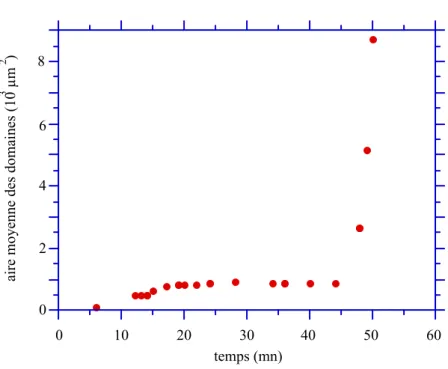 figure IV.6 : variations au cours du temps de l'aire moyenne des domaines de phase dense, 