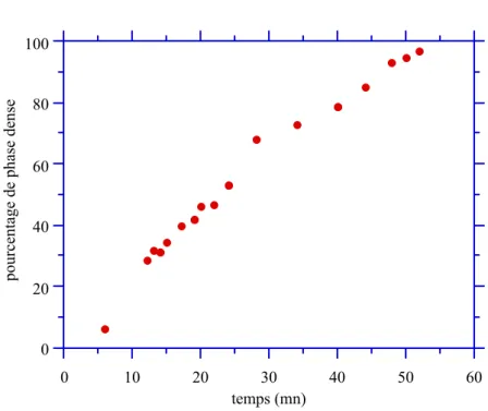 figure IV.8 : pourcentage de l'aire de la surface couverte par la phase dense, pour une 