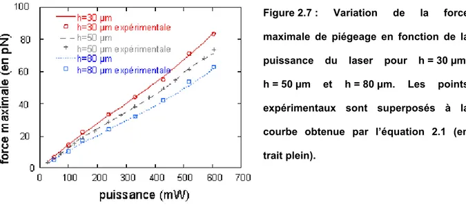 Figure  2.7  : Variation de la force  maximale de piégeage en fonction de la  puissance du laser pour h  =  30  µm,  h = 50 µm  et  h = 80 µm