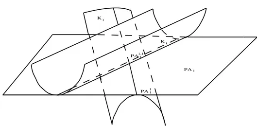 Figure 9. the P-discriminant of the family of curves PA 1,1,− 1 : xy + x 4 − y 4 + λ 1 x 3 + λ 2 y 3 = ε