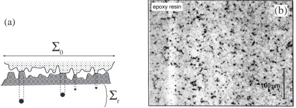 Fig. 2.2: (a) Schéma d'un contact entre deux surfaces rugueuses, de surface nominale