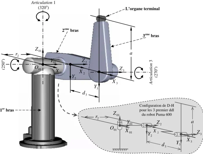 Figure I-7 : Schéma de principe du robot Puma 600 avec ses paramètres de Denavit-Hartenberg (D-H) 