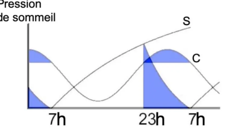Figure 3: variations de la température du corps, de la mélatonine et propension au sommeil sur 24heures.