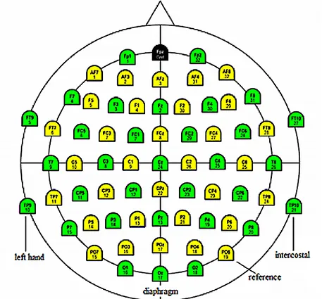 Figure  14:  schéma  de  placement  des  64  électrodes  (Actichamp  Brainproduct).  Électrodes  vertes :  positions  Ch1  à  Ch32 ;  électrodes  jaunes :  positions  Ch33  à  Ch64 ;  électrode  noire :  ground  (=terre)