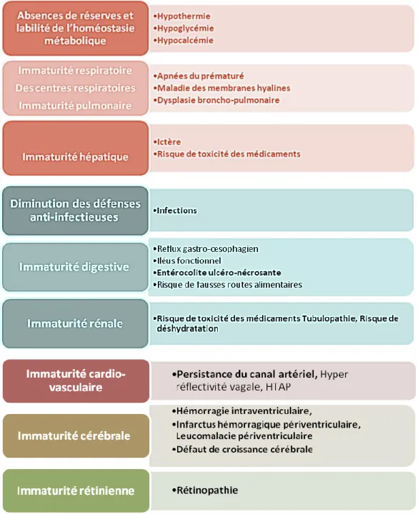 Fig. 2. Pathologies du bébé prématuré 