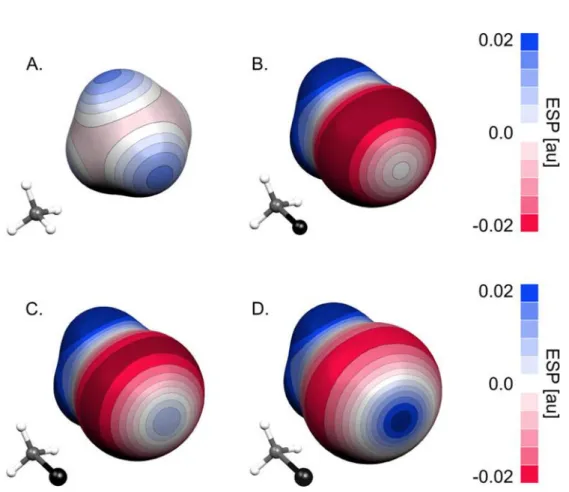 Figure 16 Représentations 3D de la surface potentiel électrostatique de différents groupements (ESP) du A