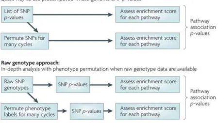 Figure 6. Input data for pathway analysis. Pathways analysis approaches for GWAS data can be divided 