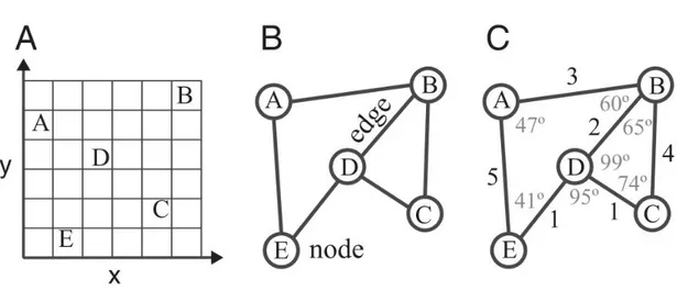 Figure 2 - Illustration schématique des différents modèles : A = carte cognitive ; B =  Diagrammes topologiques ; C = Diagrammes labellisés (tiré de Warren et al., 2017, p