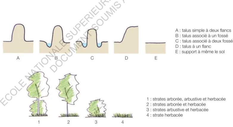 Illustration 4   Typologies des «supports de végétal» et des haies des bocages.
