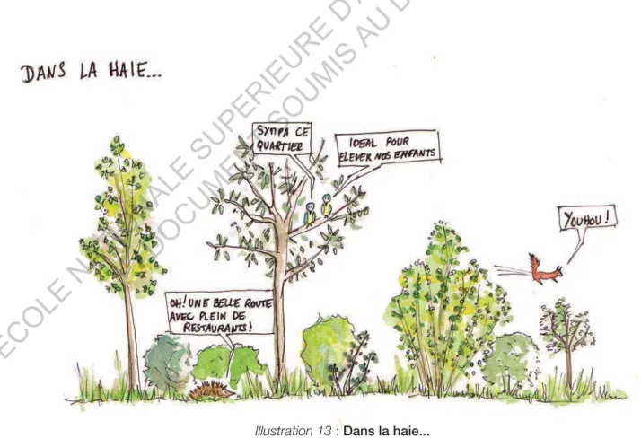 Illustration 13 :  Dans la haie...