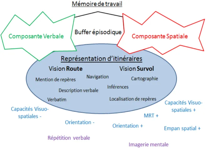 Figure  10  :  Résumé schématique des liens entre la représentation d’itinéraires, les  composantes de la mémoire de travail et les facteurs individuels (capacité et stratégie) 