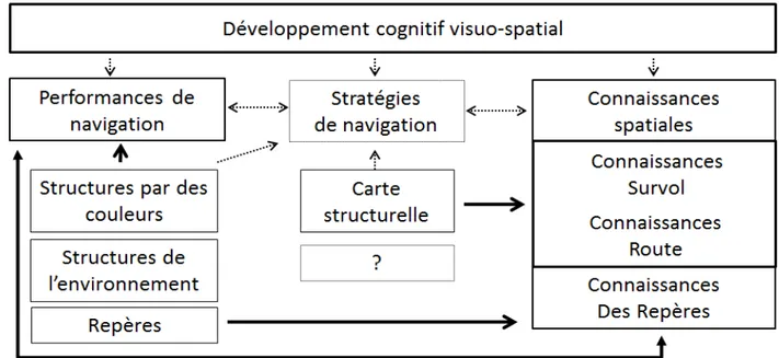 Figure 4 : Modèle de développement cognitif visuo-spatial de Jansen-Osmann (2007) 