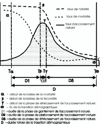 Figure 1 : Le déroulement de la transition démographique 