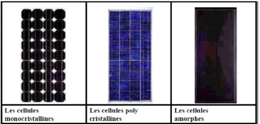FIGURE I-8 : Les différents types de cellules solaires  I.4.3.1- LE SILICIUM MONOCRISTALLIN [9] : 
