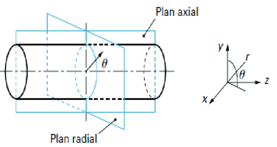 Figure I.13 Plan axial et radial étudié en 2D 