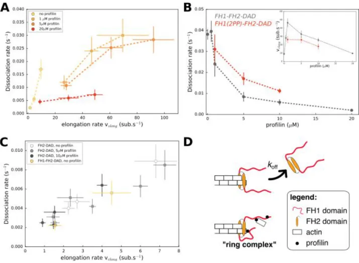 Figure   3.  Formin  dissociation  is  enhanced  by  G-actin  concentration,  and  slowed  down  by  profilin