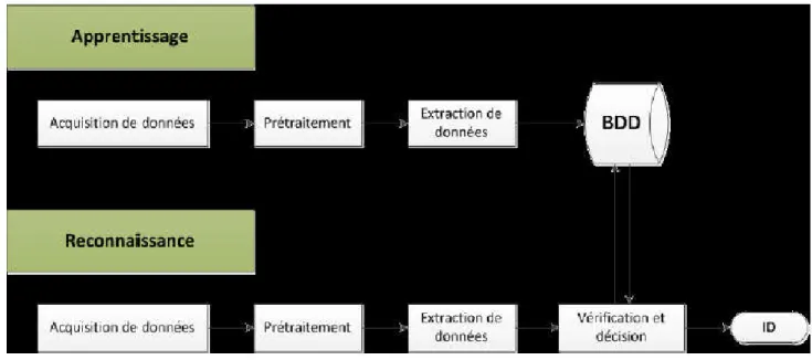 Figure I.14: Architecture d’un système  biométrique [Akr11]. 