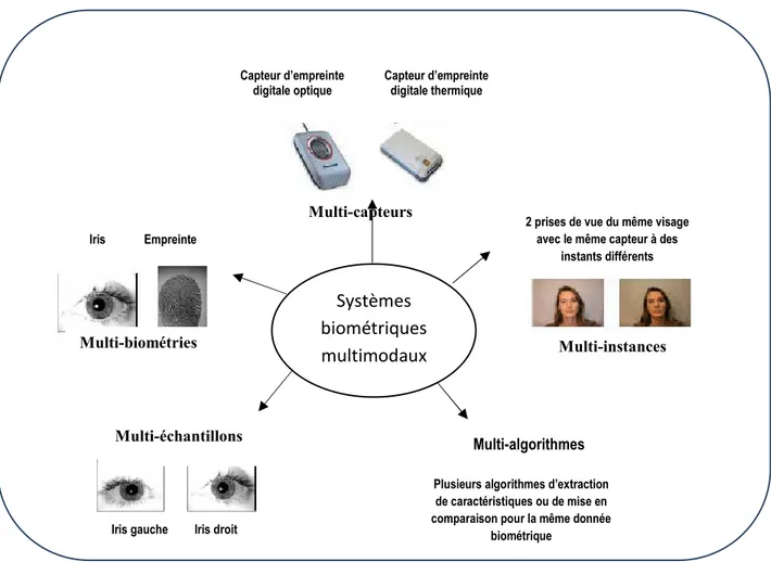 Figure II.8 : les différents systèmes multimodaux.  II.2.1 Systèmes multiples biométriques : 