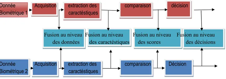 Figure II.4: les différents niveaux de fusion  II.4.1. La fusion pré-classification (avant comparaison) 