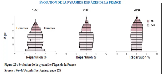 Figure 1 : Evolution de la pyramide des âges de la France 