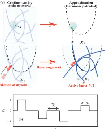 FIG. 1. (Color online) (a) Schematic representation of the en- en-ergetic landscape rearrangement due to motor activity and its modeling using the active burst applied on the local minimum