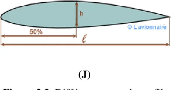 Figure 2.2. Différents types de profil. 