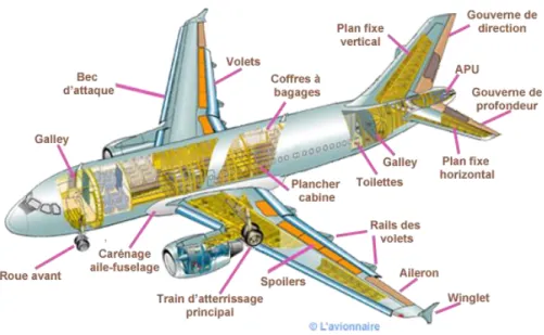 Figure 3.11. Exemple : Airbus 319 