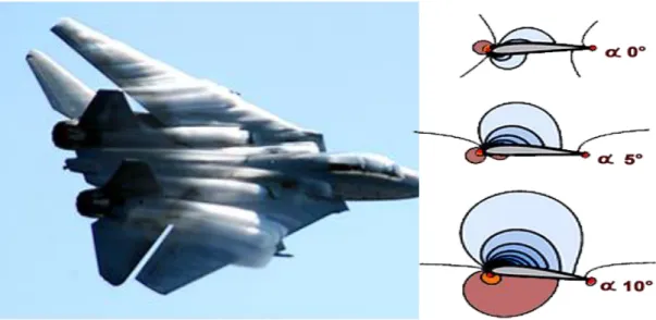Figure 4.5. Pression sur une aile de F14.  Ci-dessus : matérialisation des champs de pression sur une aile de F14 