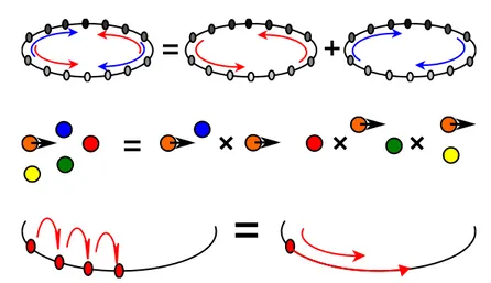 Figure 3.1: Irreversible Markov chains allow for constructing a rejection-free and max- max-imal global-balance scheme, that is at the core of the irreversible factorized  Metropo-lis algorithm