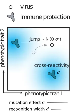 Figure 1 – Viruses and immune receptors embedded in a 2D recognition space Viruses and immune receptors can be thought as points in an abstract recognition space — in ths case 2D