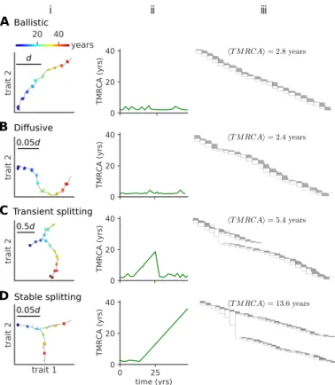 Figure 5 – Modes of antigenic evolution: A) ballistic regime, B) diffusive regime,