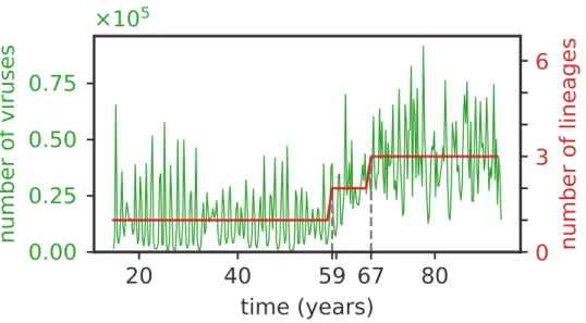 Figure 8 – The average number of viruses is proportional to the number of in-