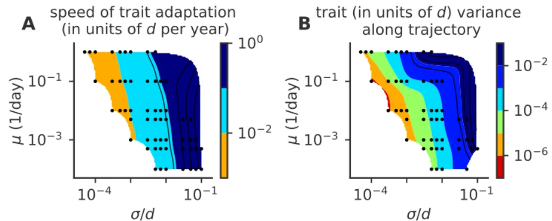 Figure 13 – Phase diagram for speed of adaptation and within cluster diversity of