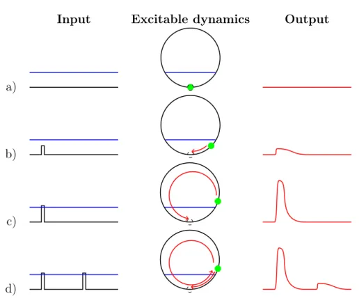 Figure 1.1: Features of excitable systems. This figure follows Figure 1 of [LGONSG04]