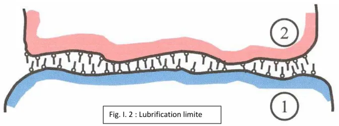 Fig. I. 2 : Lubrification limite  