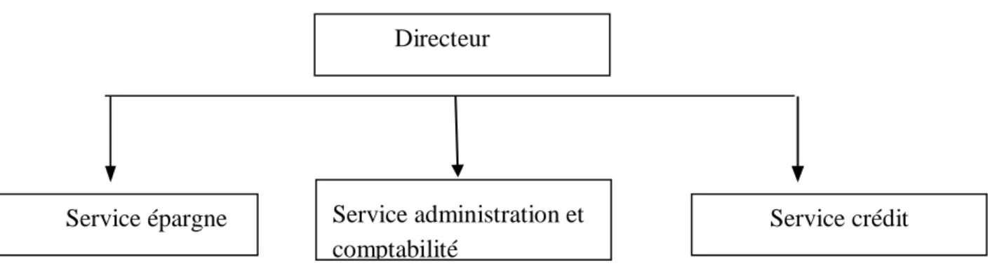 Figure N°06 : Organigramme agence de vente C 