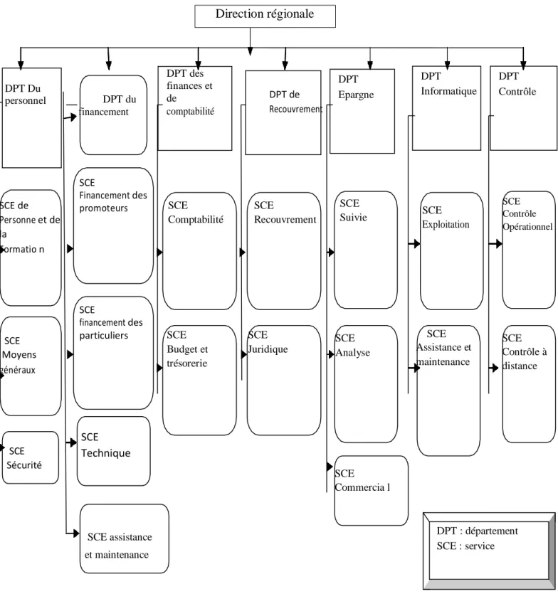Figure N°07 : Organigramme de la direction régionale 