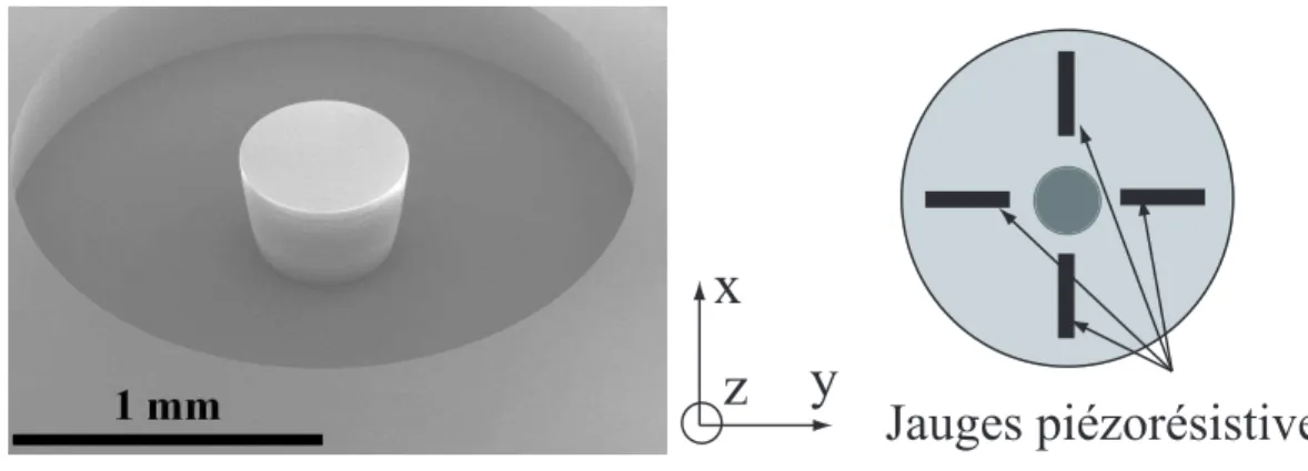 Fig. 1.2 – (a) Photo de la partie sensible du microcapteur de force. (b) Sch´ema de principe du microcapteur indiquant la position des jauges de d´eformation.