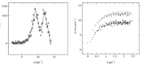 Fig. 2. Left: Density of states as obtained from the correlations, Eq. (4) . Right: The dispersion curves of transverse and longitudinal vibrations