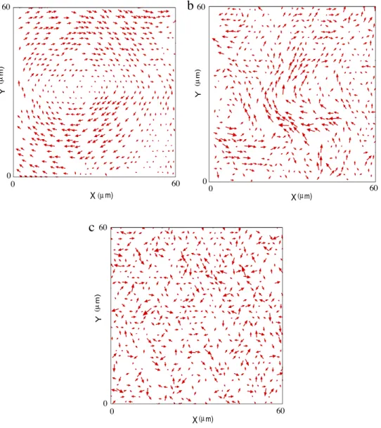 Fig. 3. Tomography of the normal modes shown in a field of view of 60 µ m × 60 µ m. The pictures correspond to increasing frequencies going from (a) to (b) to (c)